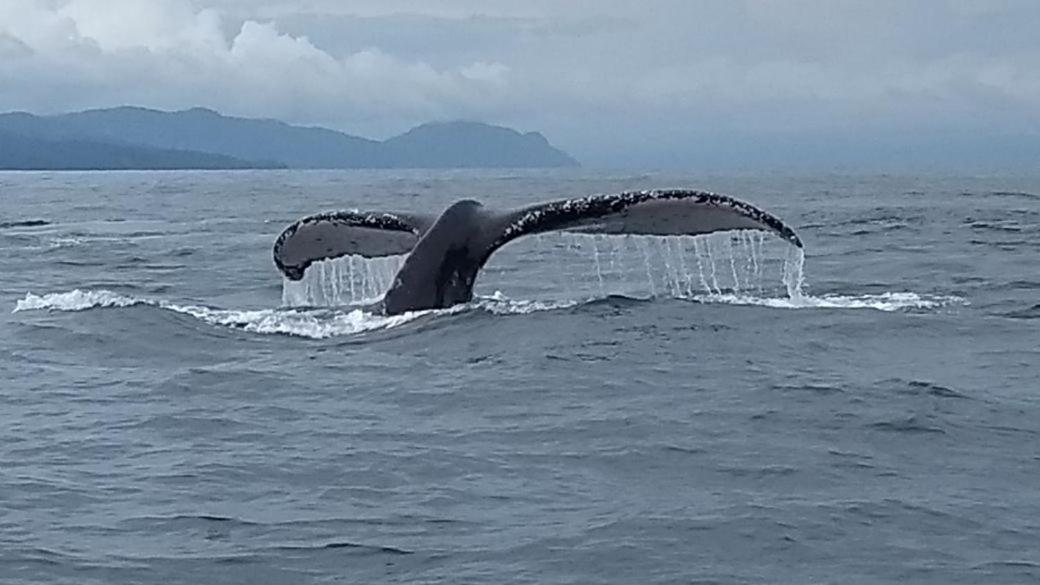 Safio. Una Casa En El Paraiso. Nuqui Luaran gambar