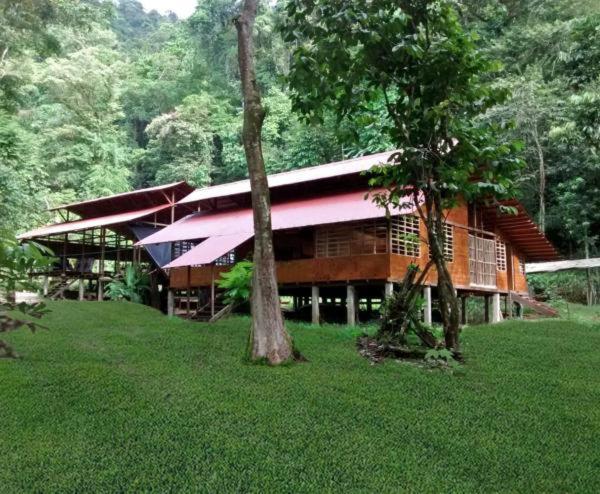 Safio. Una Casa En El Paraiso. Nuqui Luaran gambar