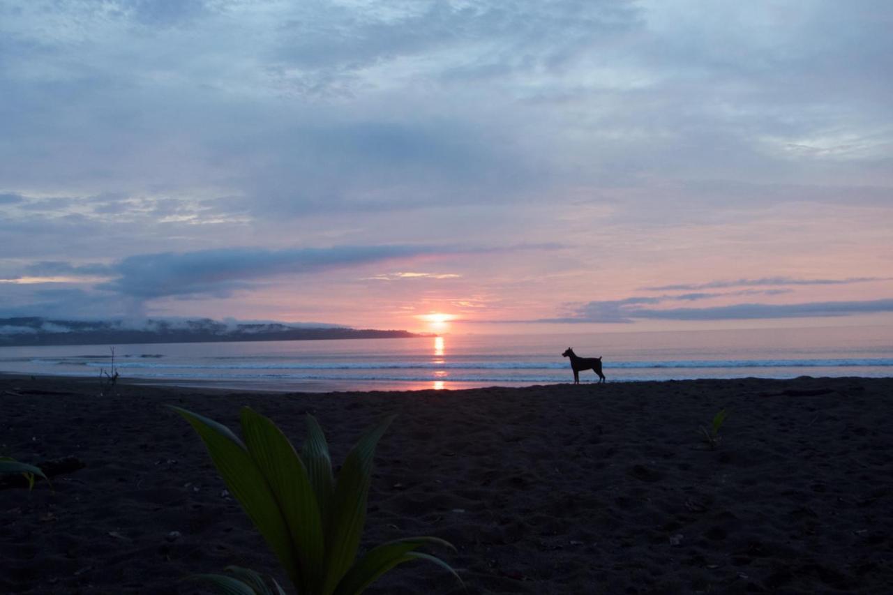 Safio. Una Casa En El Paraiso. Nuqui Luaran gambar