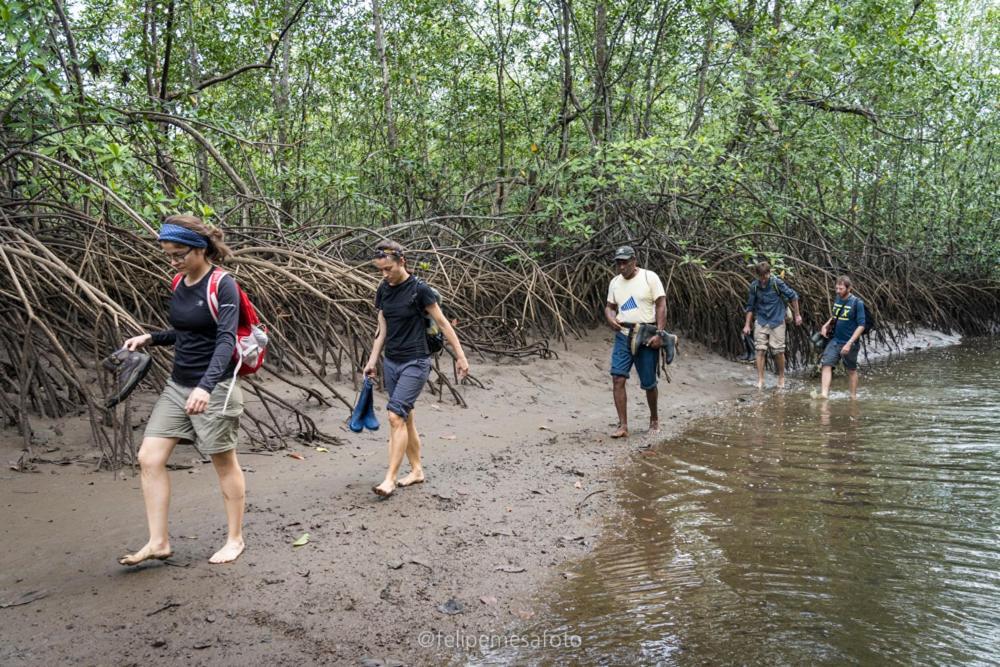 Safio. Una Casa En El Paraiso. Nuqui Luaran gambar