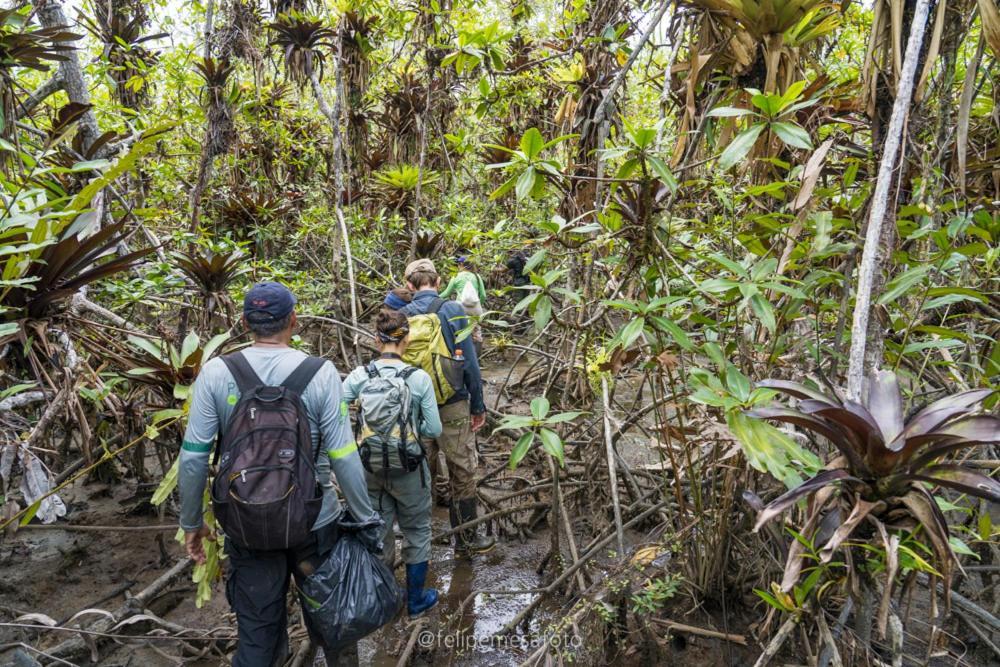 Safio. Una Casa En El Paraiso. Nuqui Luaran gambar
